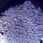 SIF_0920_0748624478_019EBY_N0450000SRLC00657_0000LMJ