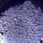 SIF_0920_0748624479_648EBY_N0450000SRLC00657_0000LMJ