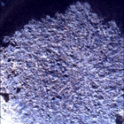 SIF_0920_0748624481_277EBY_N0450000SRLC00657_0000LMJ