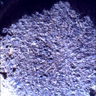 SIF_0920_0748624482_906EBY_N0450000SRLC00657_0000LMJ