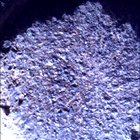 SIF_0920_0748624484_535EBY_N0450000SRLC00657_0000LMJ