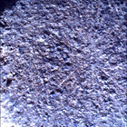 SIF_0920_0748624673_250EBY_N0450000SRLC00451_0000LMJ