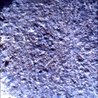 SIF_0920_0748624674_839EBY_N0450000SRLC00451_0000LMJ