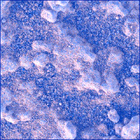 SIF_0934_0749859775_058EBY_N0460000SRLC08049_0000LMJ