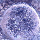 SIF_0935_0749946163_695EBY_N0460000SRLC01025_0000LMJ