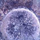 SIF_0935_0749946331_929EBY_N0460000SRLC01025_0000LMJ