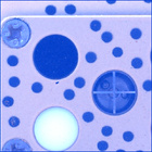 SIF_0935_0749954679_000EBY_N0460000SRLC07031_0000LMJ