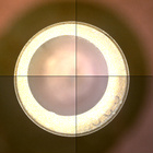 CCF_0949_0751193655_055EBYUN0460000CACH00221_XX_0LLJ