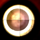 CCF_0949_0751193701_055EBYUN0460000CACH00222_XX_0LLJ
