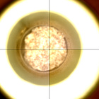 CCF_0949_0751193796_559EBYUN0460000CACH00227_XX_0LLJ