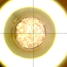 CCF_0949_0751193838_698EBYUN0460000CACH00227_XX_0LLJ