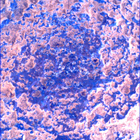 SIF_1024_0757843821_179EBY_N0490370SRLC00642_0000LMJ