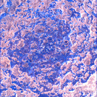 SIF_1024_0757843826_105EBY_N0490370SRLC00642_0000LMJ