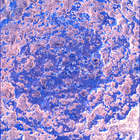 SIF_1024_0757843829_386EBY_N0490370SRLC00642_0000LMJ