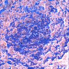 SIF_1024_0757843832_667EBY_N0490370SRLC00642_0000LMJ