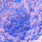 SIF_1024_0757844000_210EBY_N0490370SRLC00642_0000LMJ