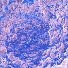 SIF_1024_0757844010_082EBY_N0490370SRLC00642_0000LMJ