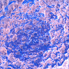 SIF_1024_0757844011_726EBY_N0490370SRLC00642_0000LMJ