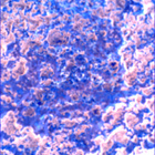 SIF_1024_0757844189_296EBY_N0490370SRLC00472_0000LMJ