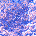 SIF_1024_0757844202_371EBY_N0490370SRLC00472_0000LMJ