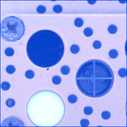 SIF_1044_0759632481_628EBY_N0492918SRLC07031_0000LMJ