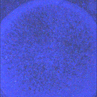 SIF_1080_0762848992_339EBY_N0501618SRLC08029_0000LMJ