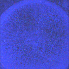 SIF_1080_0762849063_464EBY_N0501618SRLC08029_0000LMJ