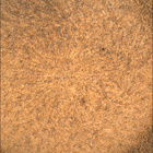 SIF_1082_0763002733_464EBY_N0501618SRLC00654_0000LMJ