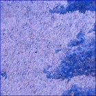 SIF_1083_0763087266_585EBY_N0501618SRLC02500_0000LMJ