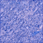 SIF_1083_0763087564_730EBY_N0501618SRLC00736_0000LMJ