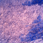 SIF_1083_0763087588_835EBY_N0501618SRLC00736_0000LMJ