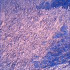 SIF_1083_0763087593_503EBY_N0501618SRLC00736_0000LMJ