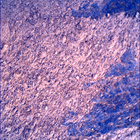SIF_1083_0763087599_722EBY_N0501618SRLC00736_0000LMJ