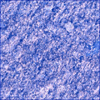 SIF_1083_0763087744_335EBY_N0501618SRLC00448_0000LMJ