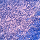 SIF_1083_0763087772_000EBY_N0501618SRLC00448_0000LMJ