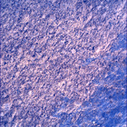 SIF_1083_0763087776_945EBY_N0501618SRLC00448_0000LMJ