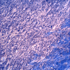 SIF_1083_0763087778_593EBY_N0501618SRLC00448_0000LMJ