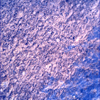 SIF_1083_0763087780_242EBY_N0501618SRLC00448_0000LMJ