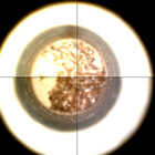CCF_1088_0763550155_386EBYUN0510000CACH00225_XX_0LLJ