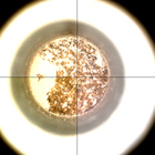 CCF_1088_0763550327_136EBYUN0510000CACH00226_XX_0LLJ