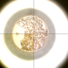 CCF_1088_0763550394_442EBYUN0510000CACH00227_XX_0LLJ