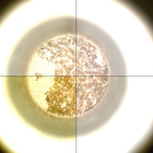 CCF_1088_0763550459_241EBYUN0510000CACH00227_XX_0LLJ