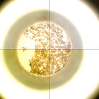 CCF_1088_0763550523_316EBYUN0510000CACH00227_XX_0LLJ