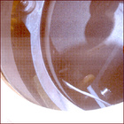 SIF_1119_0766280049_851EBY_N0514014SRLC07061_0000LMJ