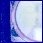 SIF_1119_0766280474_464EBY_N0514014SRLC07029_0000LMJ