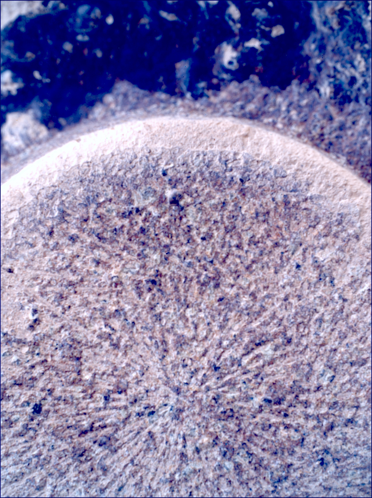 SIF_1153_0769311243_265EBY_N0522638SRLC00636_0000LMJ_calib01_areo info