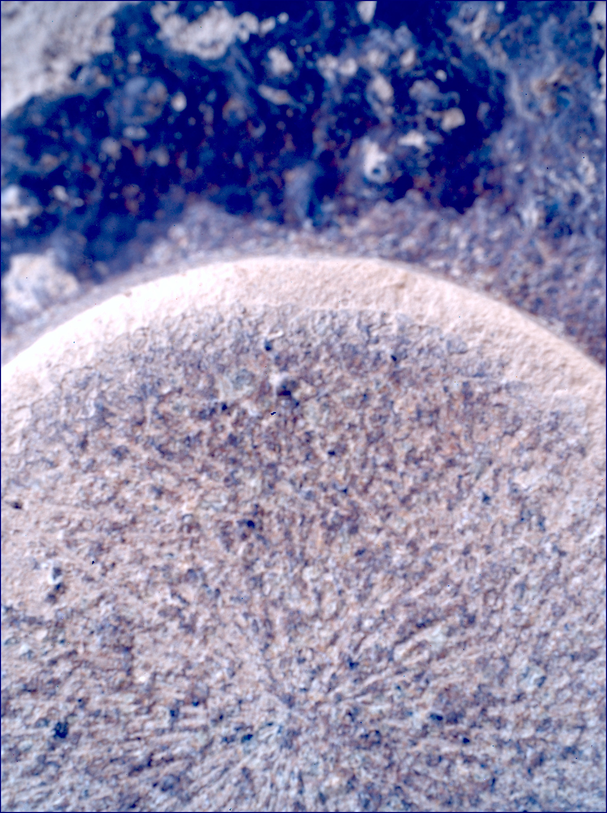 SIF_1153_0769311412_398EBY_N0522638SRLC00636_0000LMJ_calib01_areo info