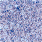 SIF_1153_0769311212_890EBY_N0522638SRLC00636_0000LMJ