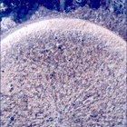SIF_1153_0769311249_562EBY_N0522638SRLC00636_0000LMJ