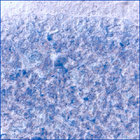 SIF_1153_0769311388_683EBY_N0522638SRLC00636_0000LMJ